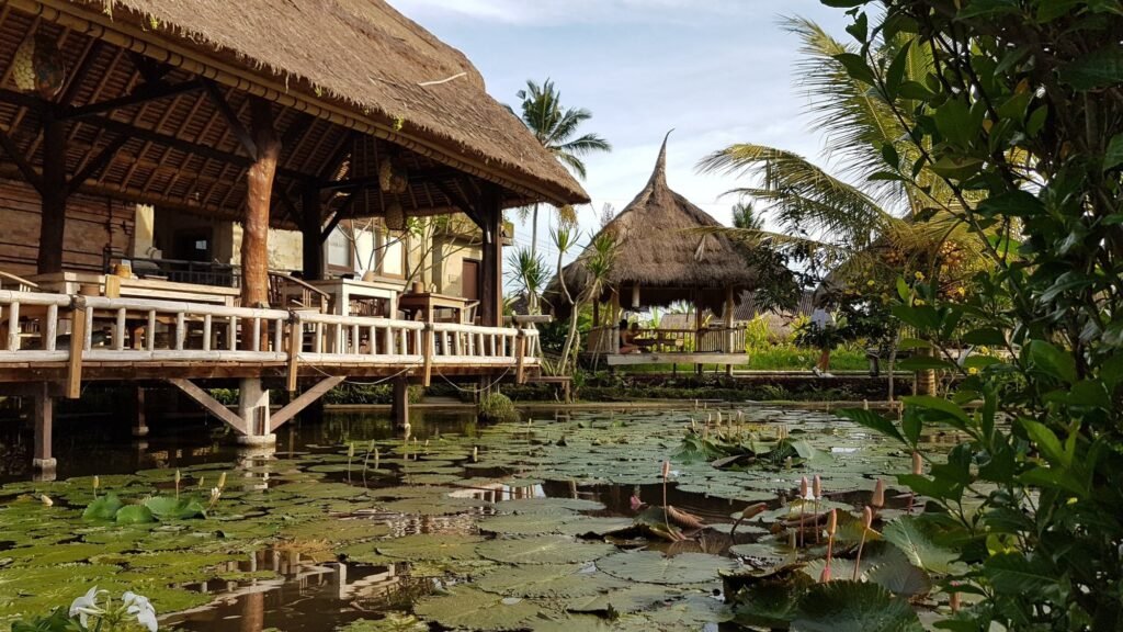 A thatched pavilion over a lotus pond, Ubud